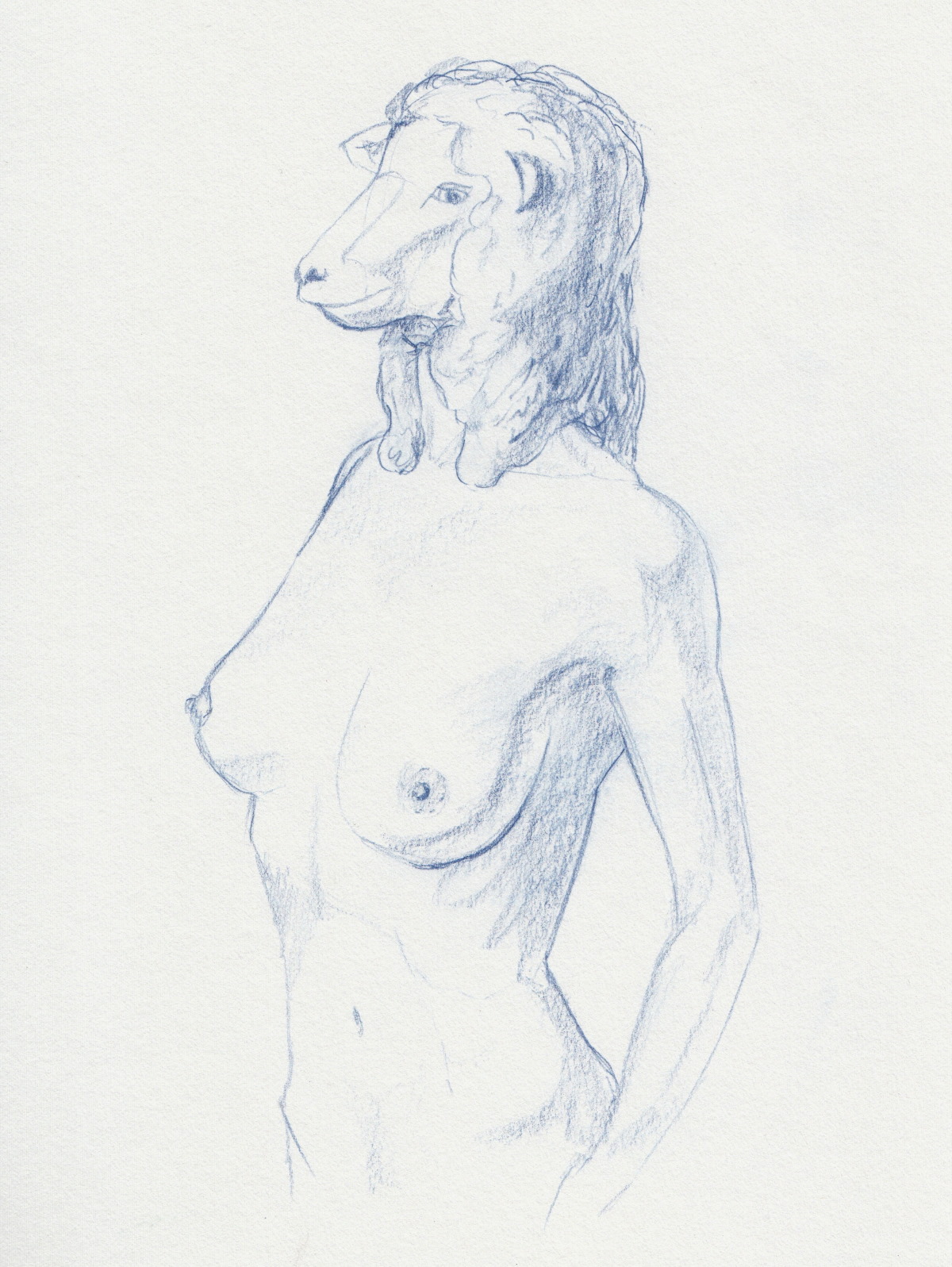 Tte d'animal ou corps vgtal #11, La femme mouton - Oeuvre de DUFO