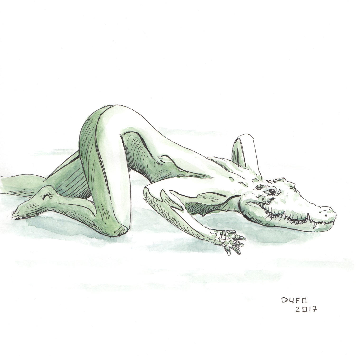 Tête de crocodile