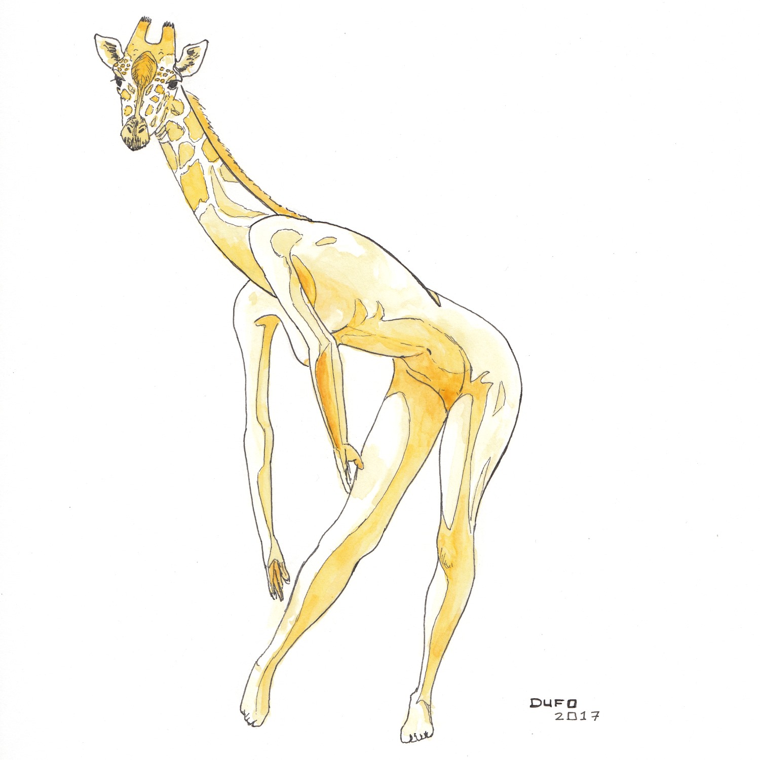 Tte d'animal ou corps vgtal #3, Tte de girafe - Oeuvre de DUFO